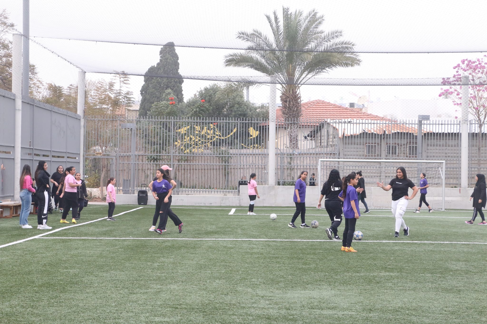 WhatsApp Image 2023-03-13 at 7.15.38 PM.jpeg